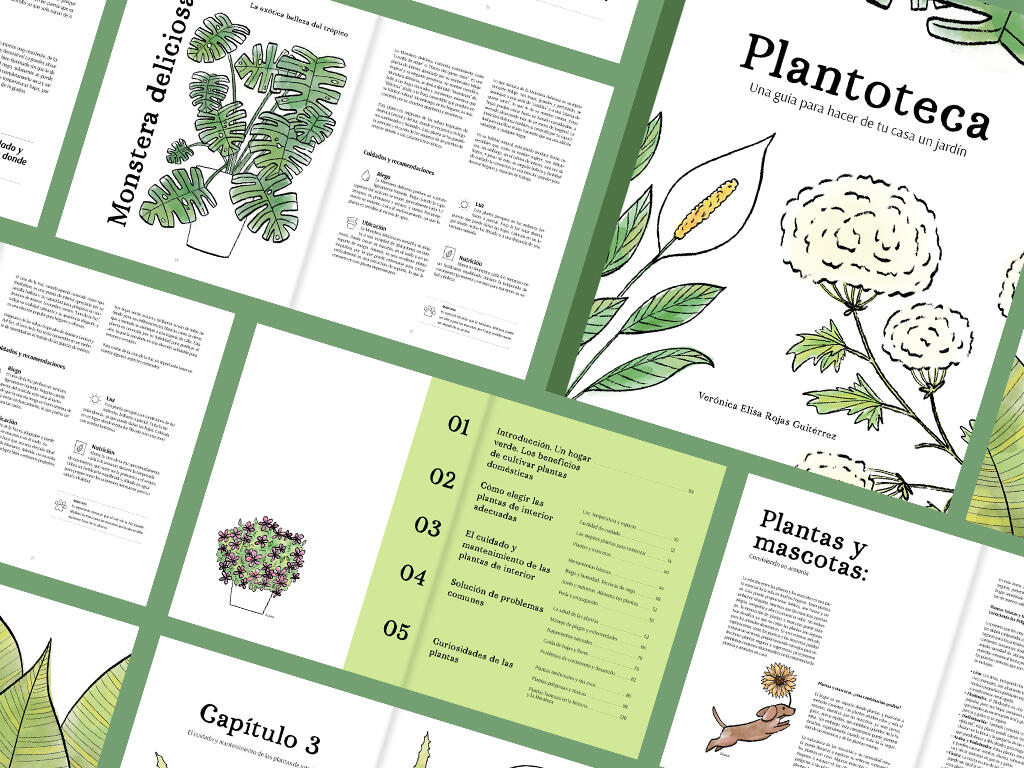 Editorial Design + Illustration